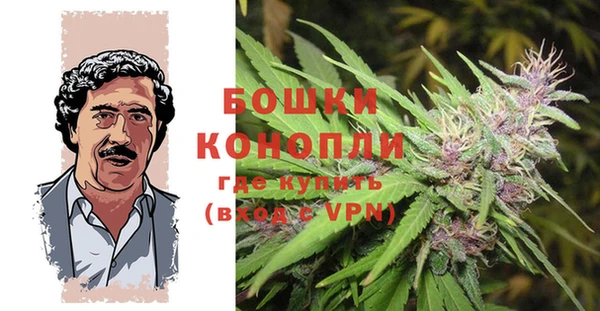 крисы Лысково