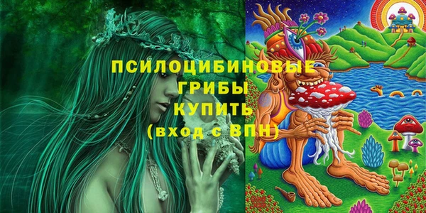 дмт Барнаул