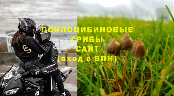 ГАЛЛЮЦИНОГЕННЫЕ ГРИБЫ Тольятти