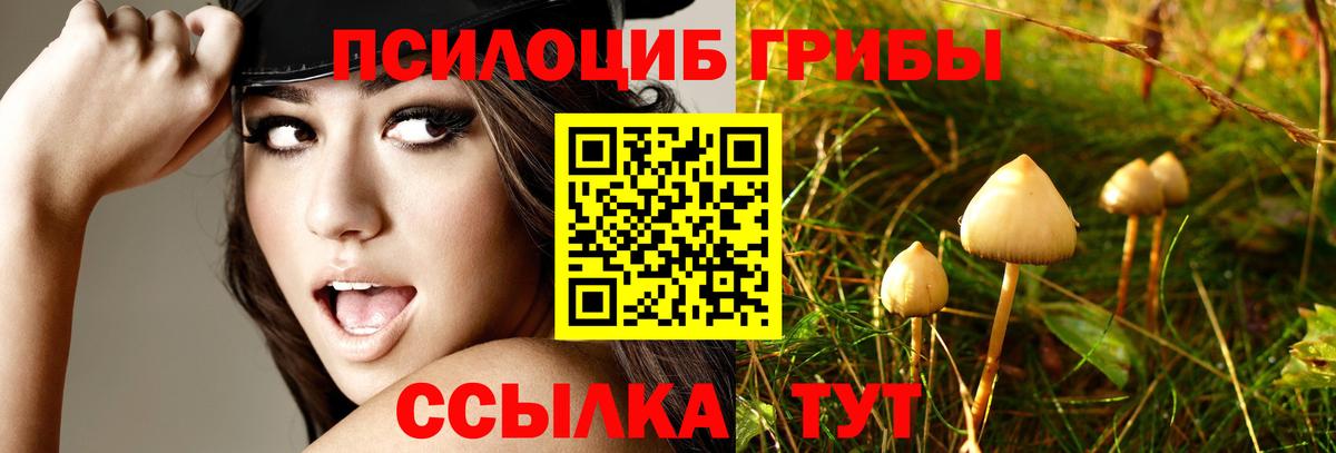 Галлюциногенные грибы MAGIC MUSHROOMS  Вход с VPN  Люберцы  Псилоцибиновые грибы Psilocybine cubensis 