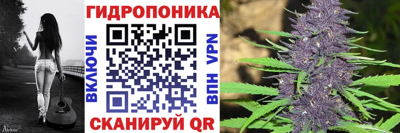 Канабис ГИДРОПОН  Люберцы 